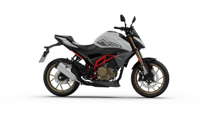 MORBIDELLI N 300